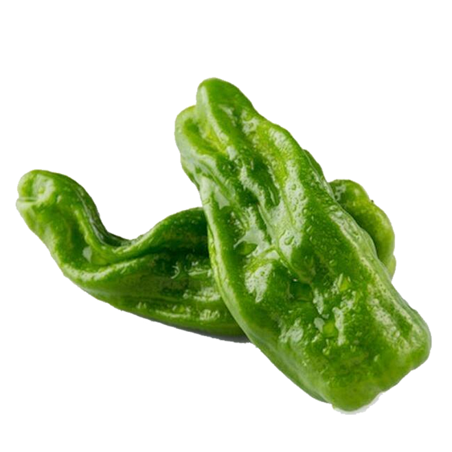 皱皮椒