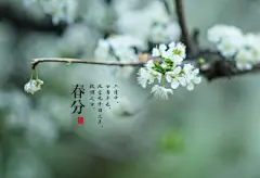 二十四节气之春分桌面壁纸(9张)