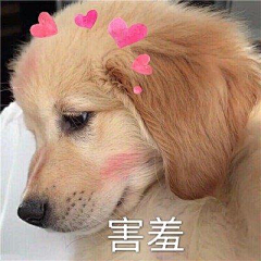 捉拿你采集到表情包