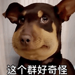 黑狗惊讶表情包_360图片