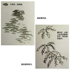 曾与吴王扫落花采集到国画技法