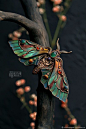 (881) Pinterest