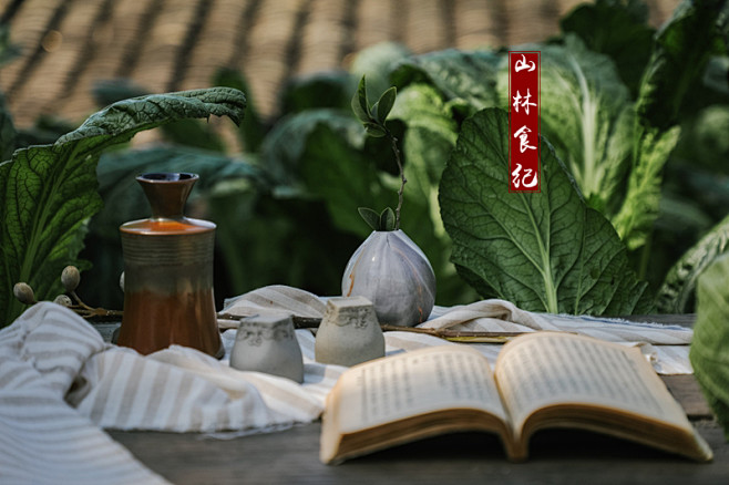 春风煮酒闲书情