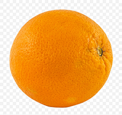 张烛天采集到水果-橙子/橘子