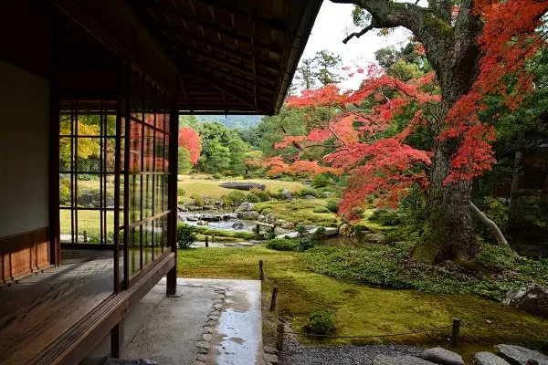 京都红叶季 | 禅意庭园·景观·建筑·酒...