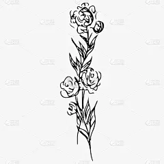 灰色上孤立的牡丹花手绘矢量图。花卉设计元素的邀请，贺卡，海报，博客。手绘素描的一朵花。
