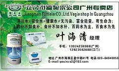 富美尔公司广州专卖店名片cdr|板式|净水器|绿叶|名片|模板|商业名片|设计|矢量设计模板|显示器|显示器素材|显示器psd素材|摄影器材画册