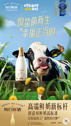 翱翔的鱼儿采集到蒙牛