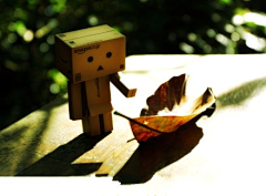 Lynn采集到Danbo 亚马逊小盒