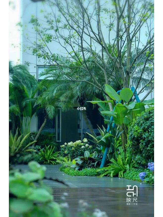 地产(热带花园）花境实录-花瓣网
