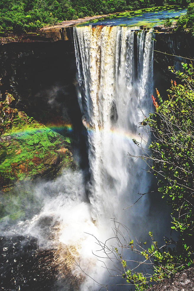 (3) Tumblr