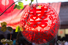 告别温吞吞采集到花艺