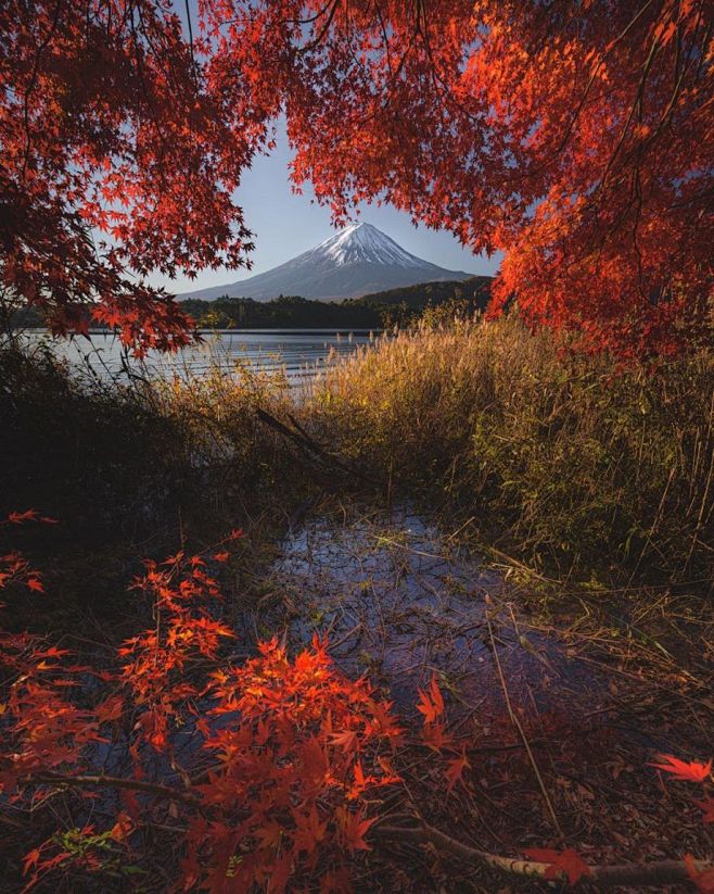 秋 | 日本摄影师 Hiro Goto ...