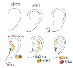 -兔爪-采集到五官 四肢 关节
