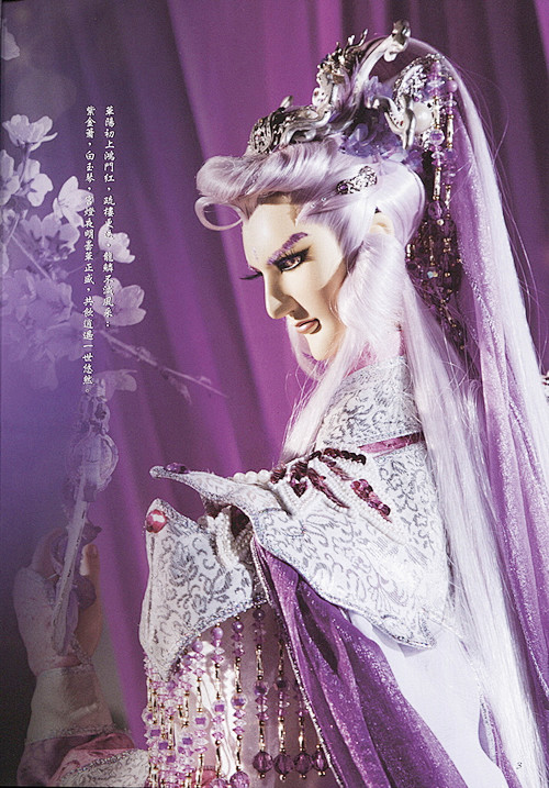 疏楼龙宿霹雳布袋戏经典人物之一