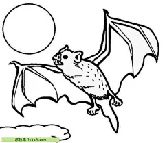 10张飞行中张开翅膀的可爱小蝙蝠小学生卡通涂色简笔画！ | 涂色集，涂色画打印大图 : 蝙蝠的尾巴非常长，可以帮助他们控制飞行方向，还有一对像手一样的爪子，能帮助他们抓住物体，有时候他们甚至可以用它们抓住小鸟，以及其他小动物。他们的翅膀非常大，它们非常薄，宽度可以达到三英尺，可以帮助他们在空中飞行。他们的翅膀上有着细密的绒毛， 10张飞行中张开翅膀的可爱小蝙蝠小学生卡通涂色简笔画！
