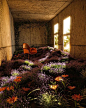 (10) Pinterest