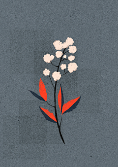 Nangong小小夕采集到花卉
