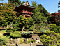 Japanese_tea_garden_reduced.png (1400×1080)