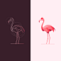 Flamingo 1