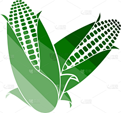花瓣素材-美食图片采集到水果蔬菜