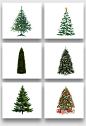 2017圣诞节圣诞树物品素材png透明 - 设计元素 - 七米设计 - 7msj.com