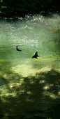 006qavWfly1helxt50qjsj30md18g1bt
