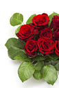 高清晰红色玫瑰花素材壁纸-红花配绿叶封面大图