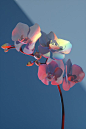 (16) Pinterest