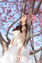 樱花树下_人像_颇可网,人像,追光,写真