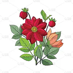 秋日花束:大丽花、百日草。手绘矢量插图孤立在白色背景。