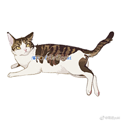 Freet___采集到动物