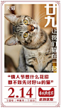 一文看懂：天猫狗年如何玩转“猫营销” : 地铁变身“猫奴车站”，喵的眼神已锁定你噜 近日全国多个地铁站，摇身一变成了“猫奴车站”。车站到处都是猫咪的大幅海报，有的猫以“主子”的眼神注视着你，有的猫则是懒洋洋地睡在沙发上。 海报文案也非常有趣，如