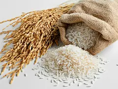 简约粮食大米素材图AI图