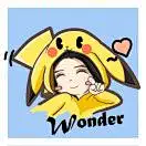 Wonderpi