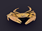 螃蟹 - 动物模型 蛮蜗网