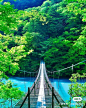 日本绝美吊桥