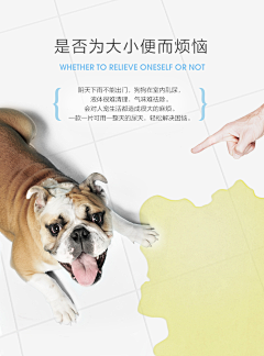 反派不反采集到爱宠