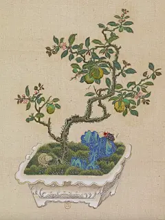 藏不住的诗意与风雅｜中式盆景100幅（六） - 小红书