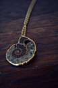 Ammonite Fossil Necklace@北坤人素材