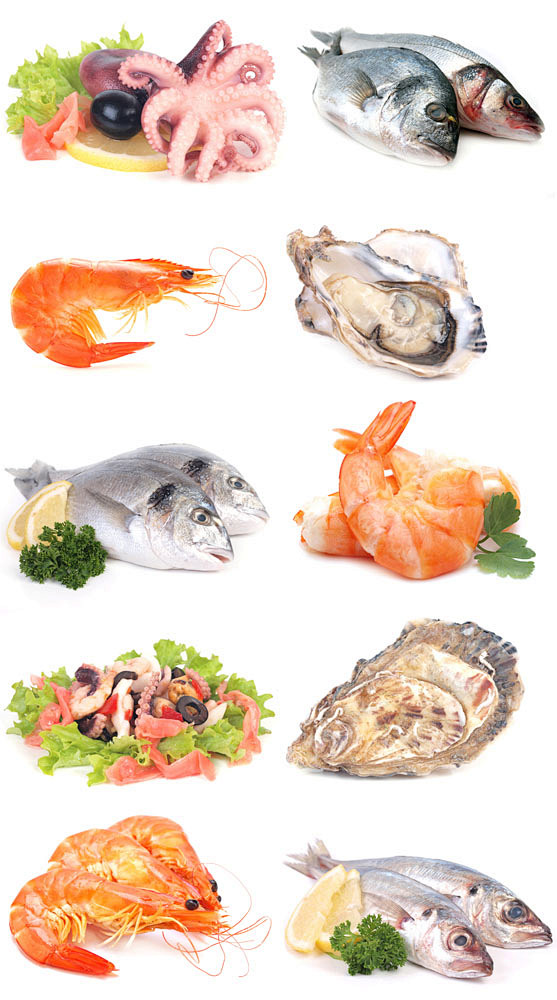 海鲜食材图片