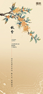 秋分节气海报