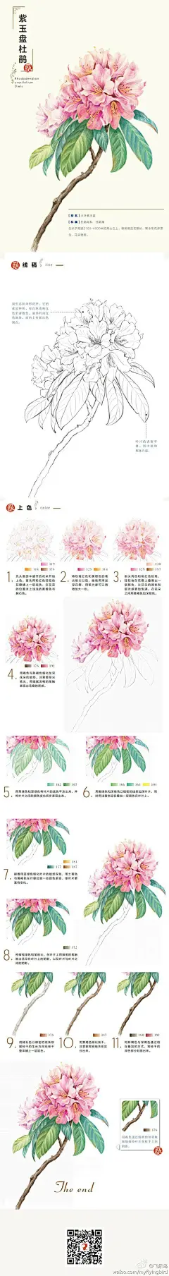 彩铅 水彩 步骤 教程 花