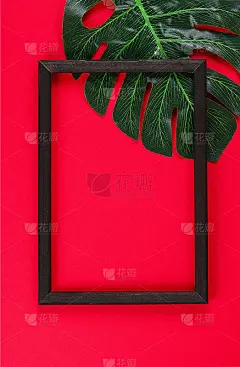 夏天的想法概念热带叶子白色黑色框架边界上的红色背景。俯视图拷贝空间