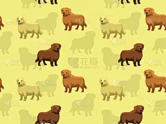 金毛寻回犬,多样,矢量,壁纸,背景,卡通,彩色图片,二进制码,可爱的,外套