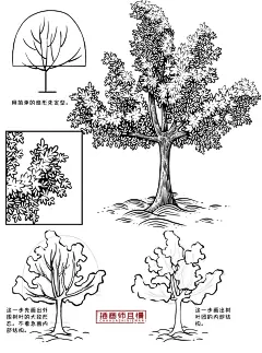 今日份画稿，一棵树的画法分享！！ - 小红书