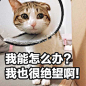 来自相册
