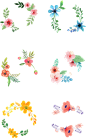 花朵，点缀