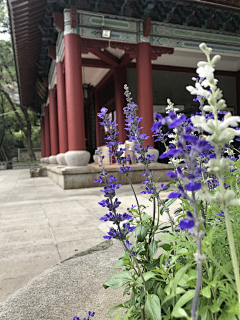 榆月💕🐇采集到# 榆月