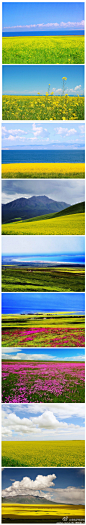 【青海湖】从六月末进入七八月开始，青海湖边盛开大片鲜艳澄黄的油菜花，和一望无际碧蓝碧蓝的湖水相配衬，又有清澈明朗的蓝色天空，景色绝佳！那时的气温不过18℃左右，气候凉爽宜人，是游人最好的扎营地。http://t.cn/zHJFPcM #背上背包去旅行# @咱们去旅行go 